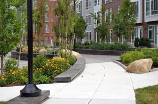 123 Antwerp St, Boston MA  02135 exterior