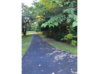 1595 Votaw Rd, Apopka, FL 32703-4673