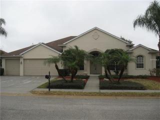 2138 Edelweiss Loop, New Port Richey, FL 34655-4944