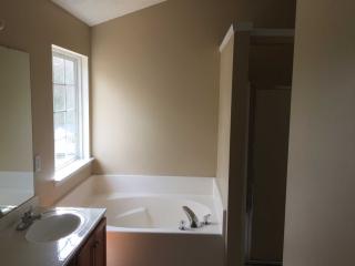 256 Loskin Ln, Lexington SC  29073-7156 exterior