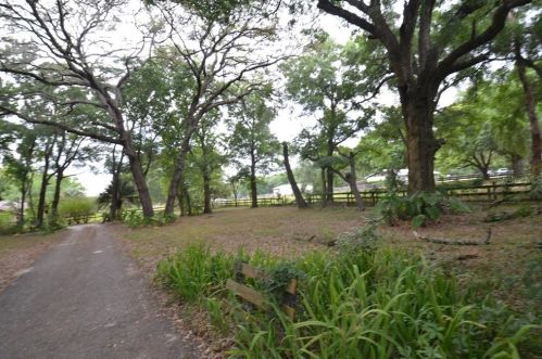 36634 Blanton Rd, Dade City FL  33523-6303 exterior