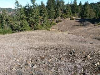 4390 Blackhawk Dr, Willits, CA 95490-8777