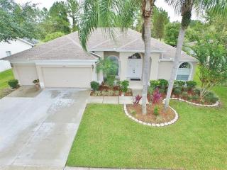18413 Bittern Ave, Lutz, FL 33558-2739