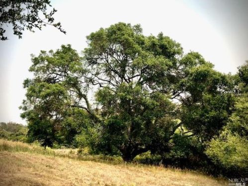 3431 Burnside Rd, Sebastopol CA  95472-9139 exterior