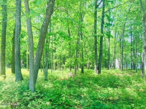 8 Prompton Vw, Prompton, PA 18456-4006