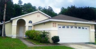 14203 Whooping Crane Ln, Orlando, FL 32824-6318