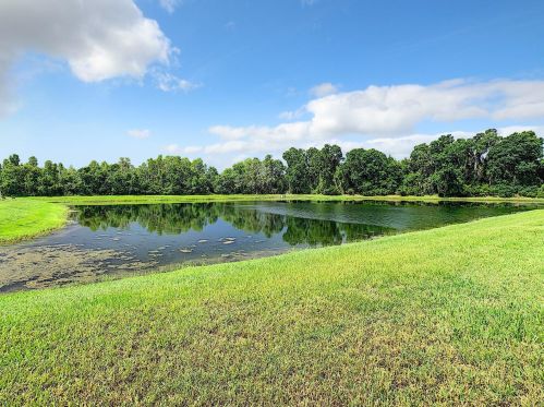 18308 Fish Loop, Land O Lakes FL  34638-6114 exterior
