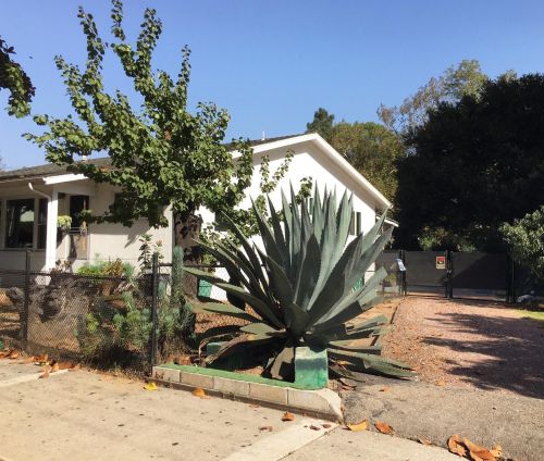 1102 San Andres St, Santa Barbara, CA 93101-4320