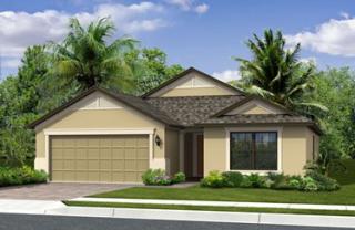 113 Pizzaro Way, Davenport, FL 33837-6826