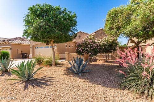 12160 Locust Ln, Avondale AZ  85323-7681 exterior