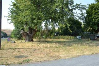 304 Front St, Albion, WA 99102