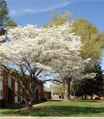 1010 Oak Grove Rd, Winston Salem NC  27103-4908 exterior