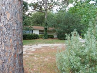 13350 106th Ct, Ocklawaha, FL 32179-4978