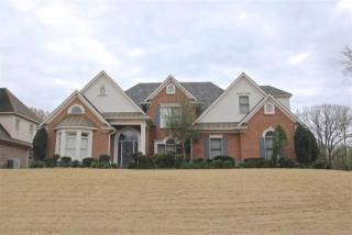 6143 Kimberly Elise Dr, Memphis, TN 38135-8100