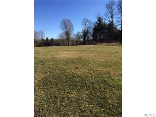 61 Rymph Rd, Staatsburg, NY 12580-6350