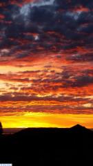1425 Meadow Hills Dr, Richland, WA 99352-7325