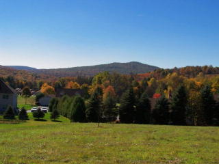 38 Concord Ave, Factoryville, PA 18419-2601