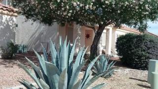 279 Muscat Dr, Mesquite, NV 89027-6149