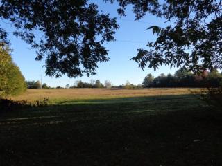 4195 Old Us Highway 29, Pelham, NC 27311-8974