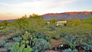 11850 Calle Javelina, Tucson AZ  85748-8349 exterior