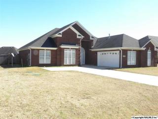 113 Appleberry Ln, Harvest AL  35749-4601 exterior