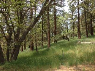 27851 Sonora Ct, Tehachapi CA  93561-9608 exterior