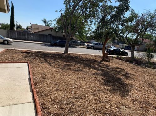 1518 Jackson St, Rialto CA  92376-3870 exterior