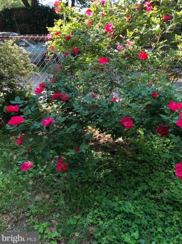 674 Lamberton St, Trenton NJ  08611-2912 exterior