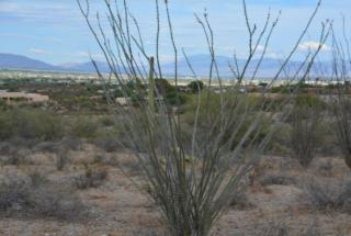 4910 Jacob Rd, Tucson, AZ 85745-9423