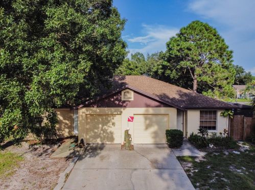3613 Cabana Ct, Palm Harbor, FL 34684-4611
