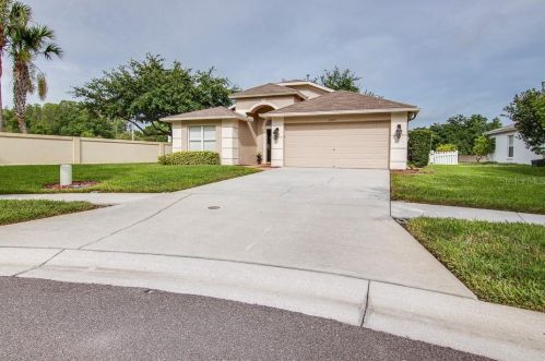 3707 Lonewood Ct, Land O Lakes, FL 34638-8055
