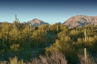3321 Corte De Galicia, Tucson, AZ 85718-6085