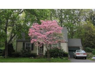 63 Macarthur Rd, Natick, MA 01760-2936