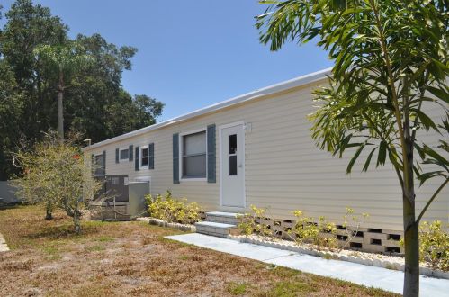 316 Mount Saxon Ave, Saint Petersburg, FL 33702-6947