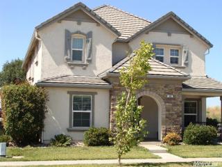 303 Emory Oak Pl, Lathrop, CA 95330-8528