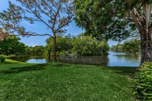 1340 Preservation Way, Oldsmar FL  34677-4824 exterior