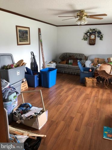 102 Massanutten St, Edinburg VA  22824-9313 exterior