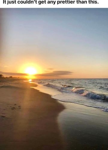 1804 Gulf Bch Dr, Saint George Island FL  32328-2827 exterior