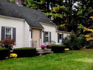 161 Pomeroy Ln, Amherst, MA 01002-3240