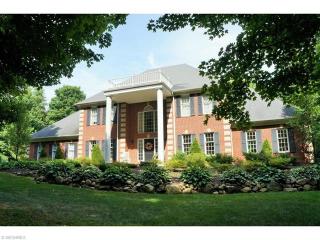 1347 Snowberry Ln, Medina, OH 44256-8650