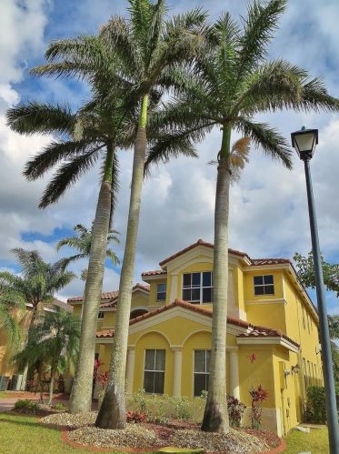 3617 161st Ter, Hollywood, FL 33027-4506