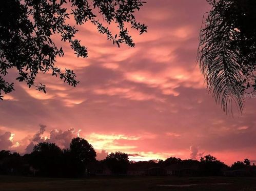 1730 Golfview Dr, Kissimmee FL 34746-3839 exterior