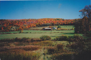 429 County Road 32, Smithville, NY 13778-4126