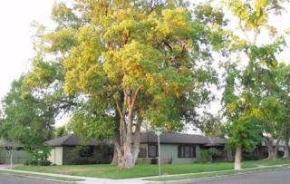 2309 Harvard Ave, Fresno, CA 93703-1811