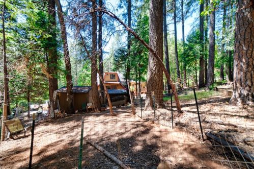 5043 Virginia Bird Mine Ct, Michigan Bluff CA  95631-9733 exterior