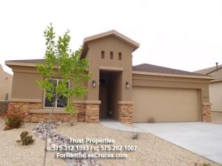 4757 Whitney Pl, Las Cruces NM  88012-7475 exterior