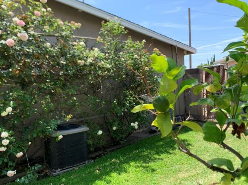 733 Citrus Edge St, Glendora CA 91740-4928 exterior