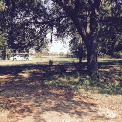 13321 102nd Ct, Belleview, FL 34420-6972