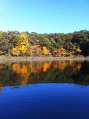 7529 Orland Rd, Fox Lake, IN 46703-8762