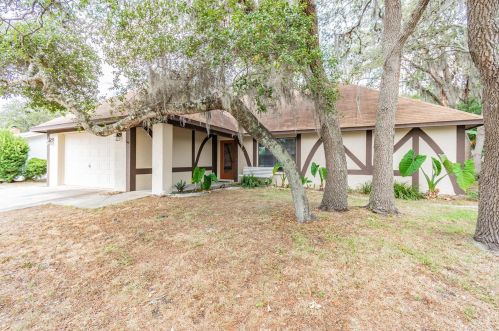 13309 Woodward Dr, Port Richey, FL 34667-7205